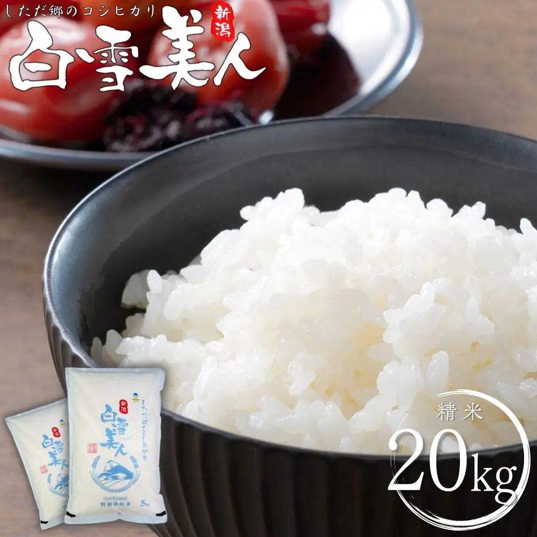 令和7年産米 特別栽培米 下田産コシヒカリ 「白雪美人」  精米 20kg（5kg×4） 新潟県 こしひかり 三条産 新潟県産【063S012】
