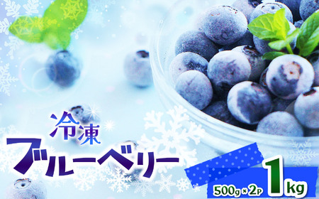 【先行予約】完熟 冷凍ブルーベリー 約 1kg
