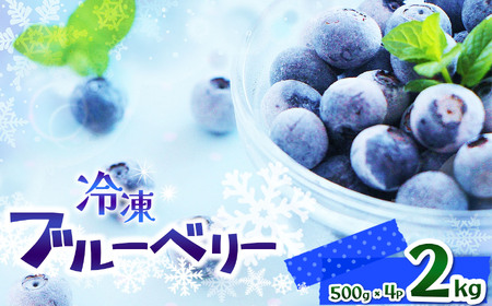 【先行予約】完熟 冷凍ブルーベリー 約 2kg