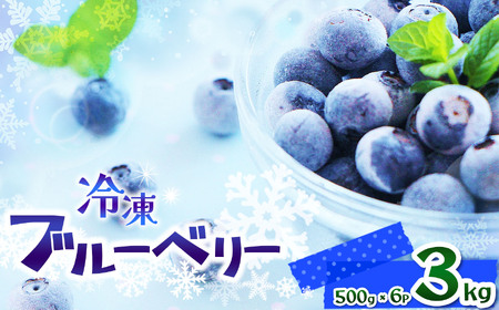 【先行予約】完熟 冷凍ブルーベリー 約 3kg
