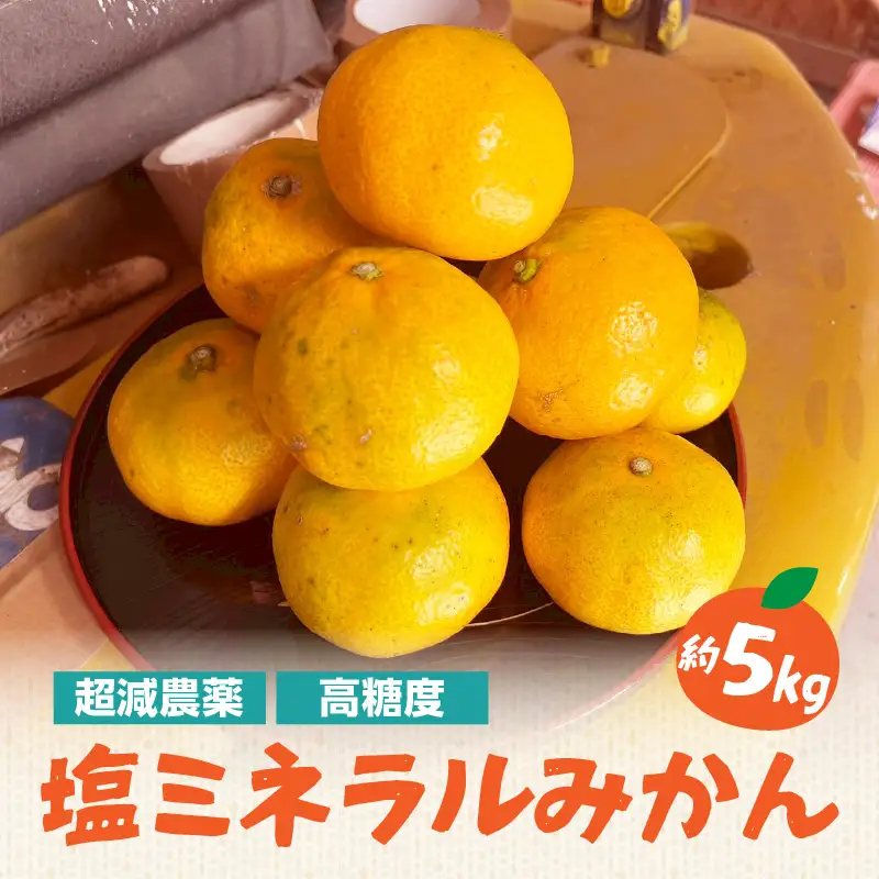 【超減農薬・高糖度】塩ミネラルみかん 約5kg ＜配送不可：北海道・沖縄・離島＞ みかん ミカン 蜜柑 フルーツ 美味しい 超減農薬 福岡県 八女市 072-340