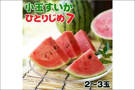 【0140-3】和歌山産小玉すいか ひとりじめ7(2～3玉)