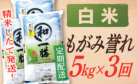 【定期便】【白米】 令和7年産 もがみ誉れ 5kg (5kg×1) 3回配送 