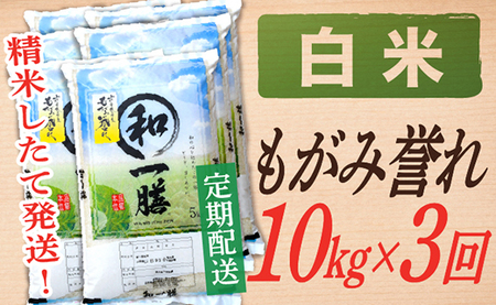 【定期便】【白米】 令和7年産 もがみ誉れ 10kg (5kg×2) 3回配送