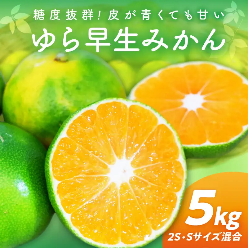 【0162-3】糖度抜群！ゆら早生（みかん）5kg≪先行予約≫