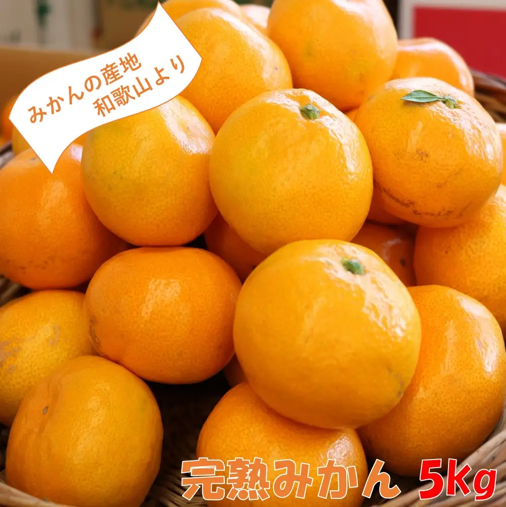 【0204-3】和歌山の完熟みかん5kg 紀州日高地方からお届けします!≪先行予約≫