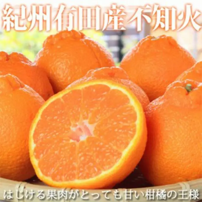 紀州有田産不知火(しらぬひ) 約５kg［2027年2月中旬以降発送］［先行予約］［UT40］