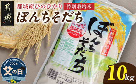 【父の日】都城産ひのひかり特別栽培米「ぼんちそだち」10kg(5kg×2袋)≪6月18日～21日お届け≫〔21-N5-001-10kg-FG〕_(都城市) 都城産 お米 10kg 5kg×2 ひのひかり ぼんちそだち