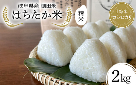 令和7年産 岐阜県産 棚田米 はちたか米 2kg F4N-2739