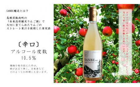 SANBE醸造2024　【 林檎 りんご 果実酒 720ml 1本 リンゴ ストレート果汁 ワイン わいん フルーティー 贈り物 プレゼントA-223】