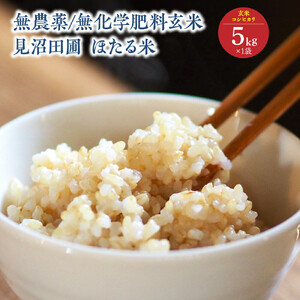 見沼田圃　ほたる米（無農薬／無化学肥料玄米） コシヒカリ 5kg　【11100-1138】