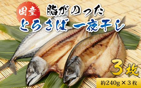 脂がのった 国産とろさば一夜干し 3枚 真鯖使用 さば 仕込み 天日干し 瞬間冷凍 ふっくら