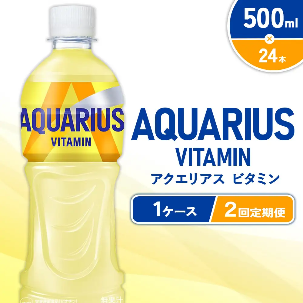 【2回定期便】アクエリアス ビタミン PET 500ml×24本×2回 合計48本 2ヶ月 水分補給 スポーツ飲料 清涼飲料水 常温 AQUARIUS コカコーラ 熱中症対策 送料無料
