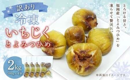 訳あり 冷凍 いちじく 「とよみつひめ」 2kg 冷凍 いちじく イチジク フルーツ 果物 くだもの シャーベット コンポート パンケーキ 加工 真空パック
