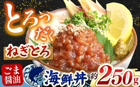 "とろだく” ごま醤油 海鮮丼 ねぎとろ 約 250g | 熊本県 和水町 くまもと なごみ 魚 海鮮 肥後 海鮮丼 スライス 冷凍 漬け さかな 漬け丼 小分け 数量限定 人気 熊本県 熊本