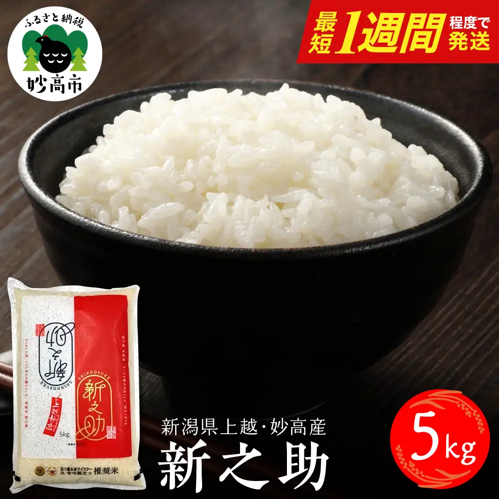 【最短1週間程度発送】 新潟県上越妙高産 新之助 5kg
