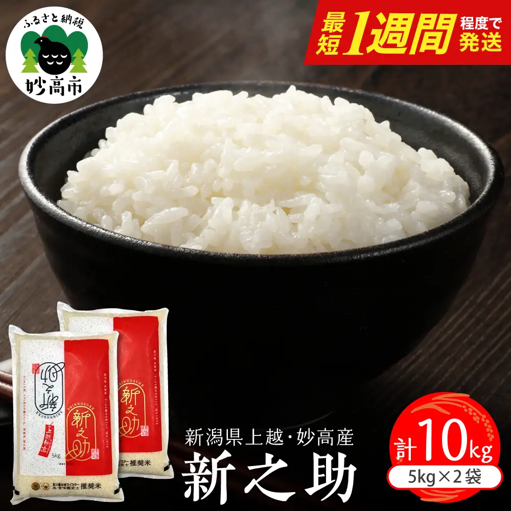 【最短1週間程度発送】 新潟県上越妙高産 新之助 10kg