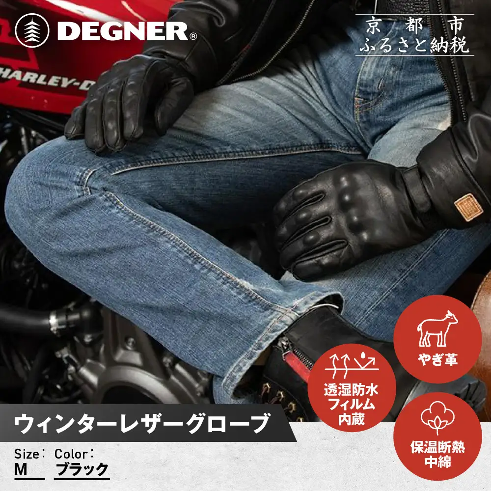 【デグナー】ウィンターレザーグローブ[WG-50]〈ブラック・M〉｜京都 バイクギア 人気ブランド バイク