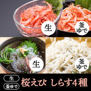 桜えび２種、しらす２種セット【配送不可：離島】