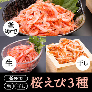 桜えび3種セット【配送不可：離島】