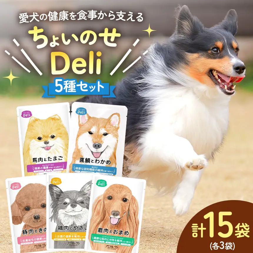 ちょいのせDeli 5種 × 各3袋 セット | ペット 愛犬 犬 ウェットフード 国産 ドッグフード 熊本県 玉名市