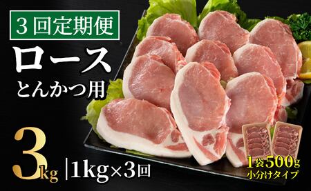 《定期便》長崎県産豚 ロースとんかつ用計1kg(100g×5枚×2) 【3回お届け】