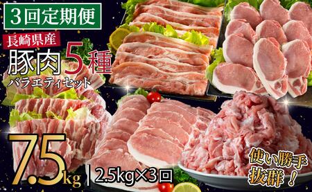 《定期便》長崎県産豚 バラエティ 5点セット 計2.5kg【3回お届け】