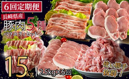 《定期便》長崎県産豚 バラエティ 5点セット 計2.5kg【6回お届け】