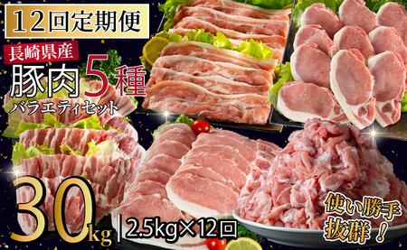 《定期便》長崎県産豚 バラエティ 5点セット 計2.5kg【12回お届け】