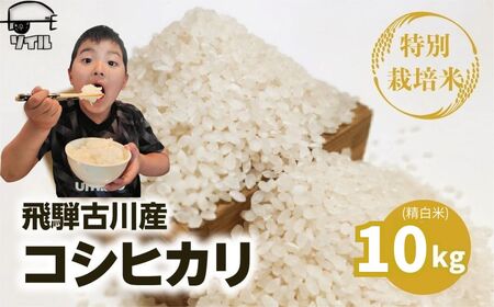 令和8年産コシヒカリ 白米 10kg 米 こしひかり ソイル 