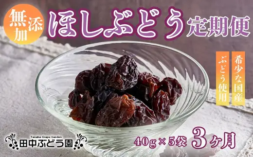 【定期便　毎月お届け3ヵ月】ほしぶどう 40g×5袋