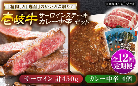 【全12回定期便】サーロインステーキ＆カレー中辛 肉 和牛 [JDW121]
