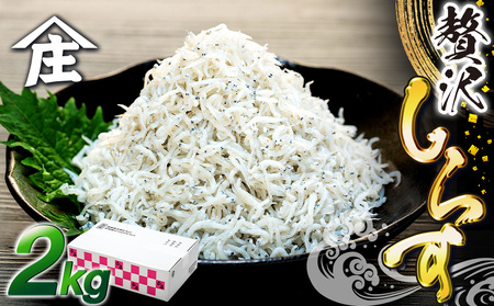 しらす 2kg ( 1kg × 2箱 ) 冷凍 贅沢 ちりめん しらす干し 減塩 極み ごはん 丼 パスタ チャーハン サラダ 魚 料理 山庄 愛知県 南知多町 師崎
