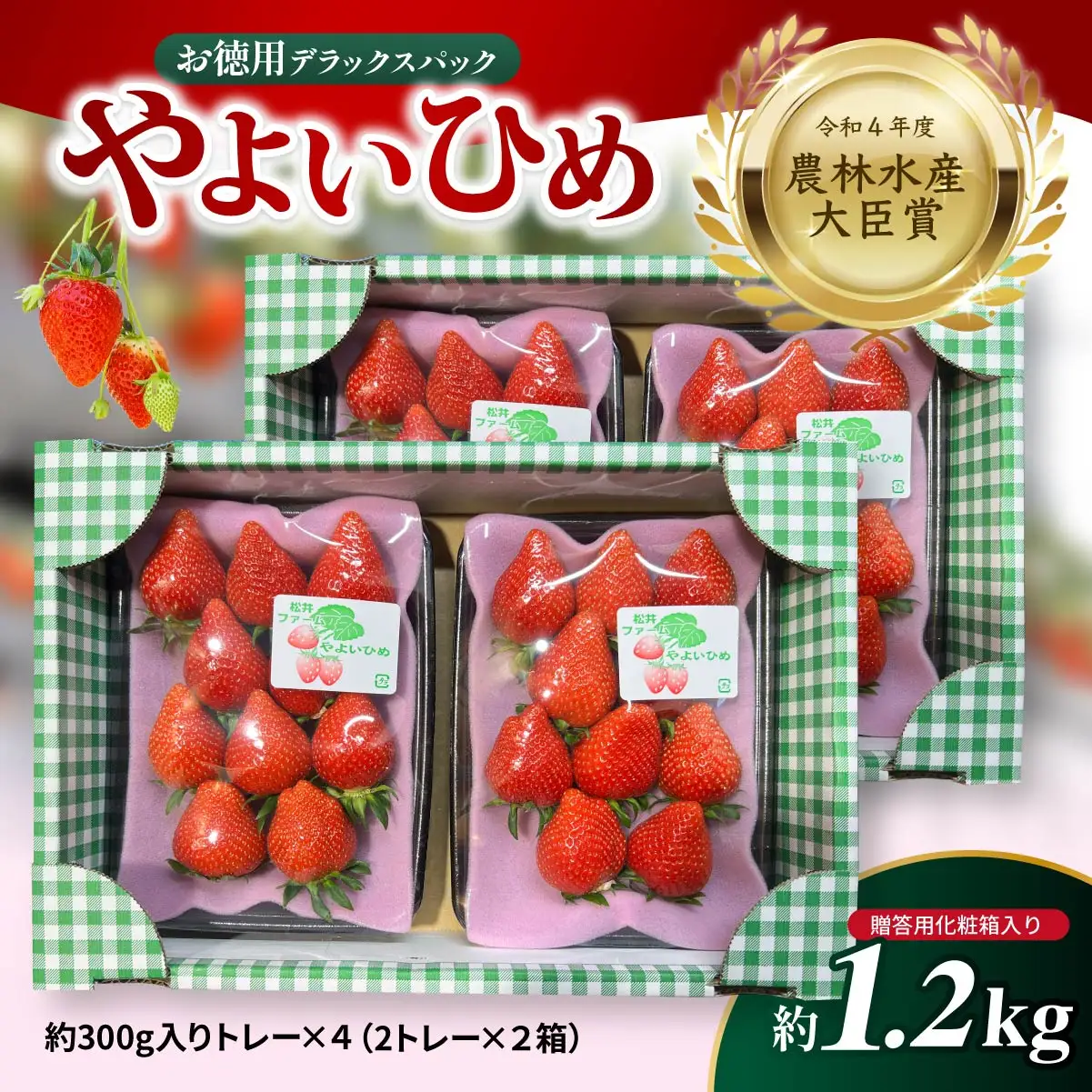 いちご 大容量 やよいひめ いちごデラックスパック 1.2kg 2027年 先行予約 | 前橋市
