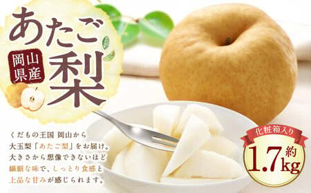 岡山県産 あたご梨 2玉 （約1.7kg） 化粧箱入り 【2026年11月下旬～12月下旬迄発送予定】 ／ なし 和梨 果物 果実 フルーツ 大玉 岡山県 美咲町 常温