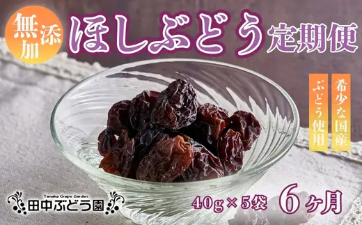 【定期便　毎月お届け6ヵ月】ほしぶどう 40g×5袋