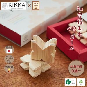 知育積み木 KIKKA Basic40《株式会社ウインテック》