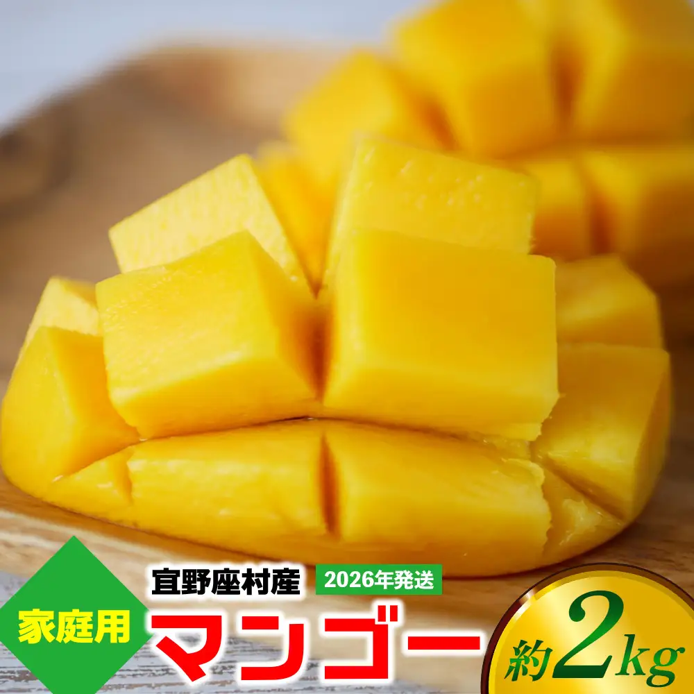 【2026年発送】ご家庭用マンゴー 約2kg【宜野座村産】 沖縄 南国 先行予約 期間限定 マンゴー 果物 くだもの フルーツ 果実 家庭用 自宅用 濃厚 甘い 芳醇 夏