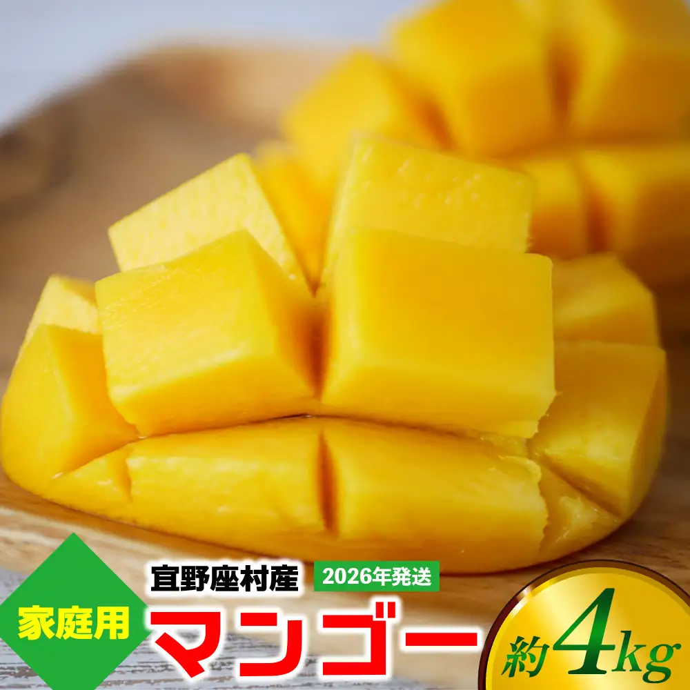 【2026年発送】ご家庭用マンゴー 約4kg【宜野座村産】 沖縄 南国 先行予約 期間限定 マンゴー 果物 くだもの フルーツ 果実 家庭用 自宅用 濃厚 甘い 芳醇 夏