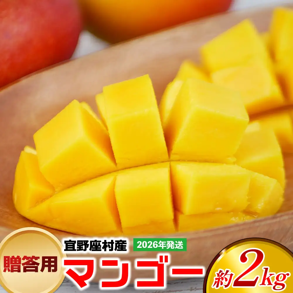 【2026年発送】贈答用マンゴー 約2kg【宜野座村産】 沖縄 南国 先行予約 期間限定 マンゴー 果物 くだもの フルーツ 果実 家庭用 自宅用 濃厚 甘い 芳醇 夏
