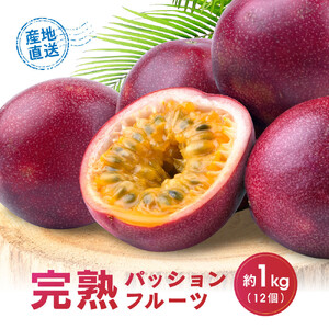 パッションフルーツ (1kg12個入り化粧箱) 2026年6月～出荷開始 | パッションフルーツ