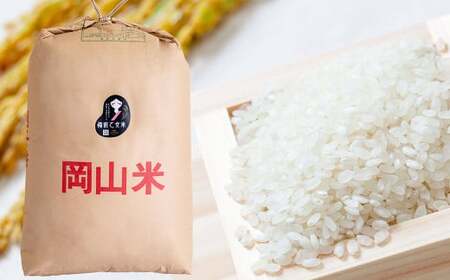 備前乙女米 白米 30kg×1袋【2026年10月下旬～2027年9月下旬迄発送予定】／ お米 米 おこめ こめ コメ ご飯 精米 ライス モチモチ 石原果樹園 岡山県 美咲町
