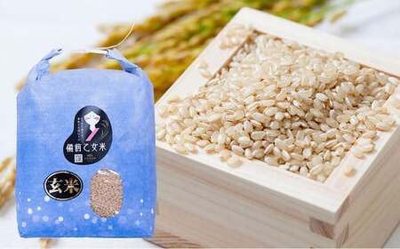 備前乙女米 玄米 5kg×1袋【2026年10月下旬～2027年9月下旬迄発送予定】 ／ お米 米 おこめ こめ コメ ご飯 ライス モチモチ 石原果樹園 岡山県 美咲町