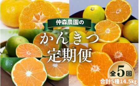 みかん 定期便 5回 計14.5kg 【温室みかん・超極早生温州・極早生温州・由良早生・早生温州】【nkmr-tkb0001】