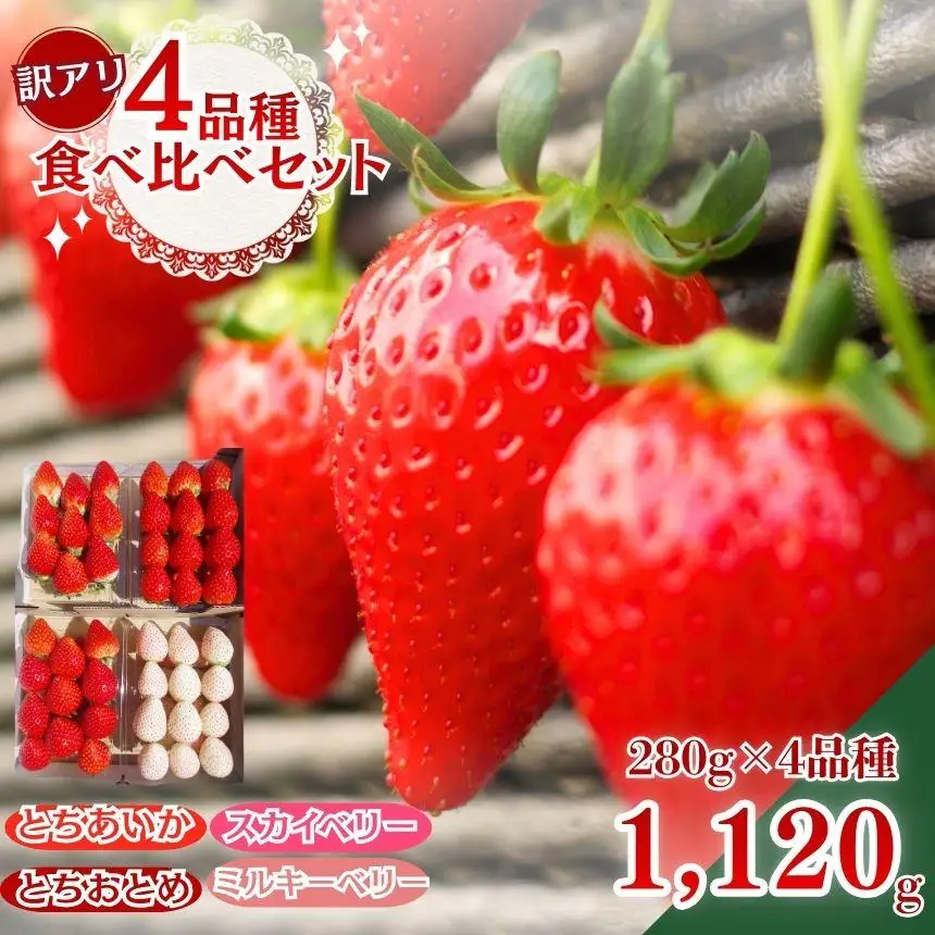 栃木のいちご 4品種食べ比べデラックス 1120g【2027年1月以降発送】| とちあいか とちおとめ スカイベリー ミルキーベリー 澳原いちご農園 栃木県 矢板市