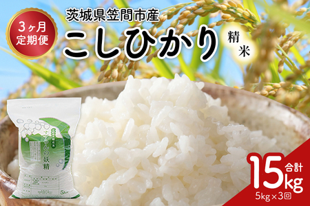 【3ヶ月定期便】令和7年度 殺虫剤・殺菌剤不使用｜こしひかり（5kg） 合計15kg 定期便 コシヒカリ 米 こしひかり 精米 ブランド米 お米 白米 5kg 国産 贈答 ギフト おにぎり 弁当 R7年産 ごはん おいしい 旨い ふっくら お米 茨城県 笠間市 いばらき BF-011