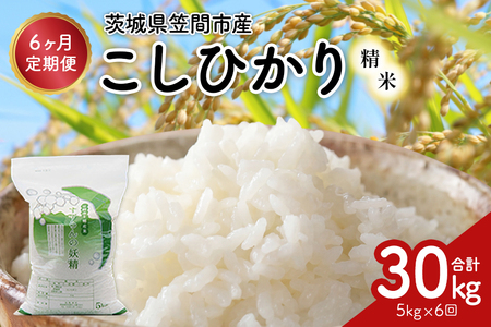 【6ヶ月定期便】令和7年度 殺虫剤・殺菌剤不使用｜こしひかり（5kg） 合計30kg 定期便 コシヒカリ 米 こしひかり 精米 ブランド米 お米 白米 5kg 国産 贈答 ギフト おにぎり 弁当 R7年産 ごはん おいしい 旨い ふっくら お米 茨城県 笠間市 いばらき BF-012