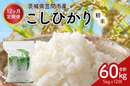 【12ヶ月定期便】令和7年度 殺虫剤・殺菌剤不使用｜こしひかり（5kg） 合計60kg 定期便 コシヒカリ 米 こしひかり 精米 ブランド米 お米 白米 5kg 国産 贈答 ギフト おにぎり 弁当 R7年産 ごはん おいしい 旨い ふっくら お米 茨城県 笠間市 いばらき BF-013