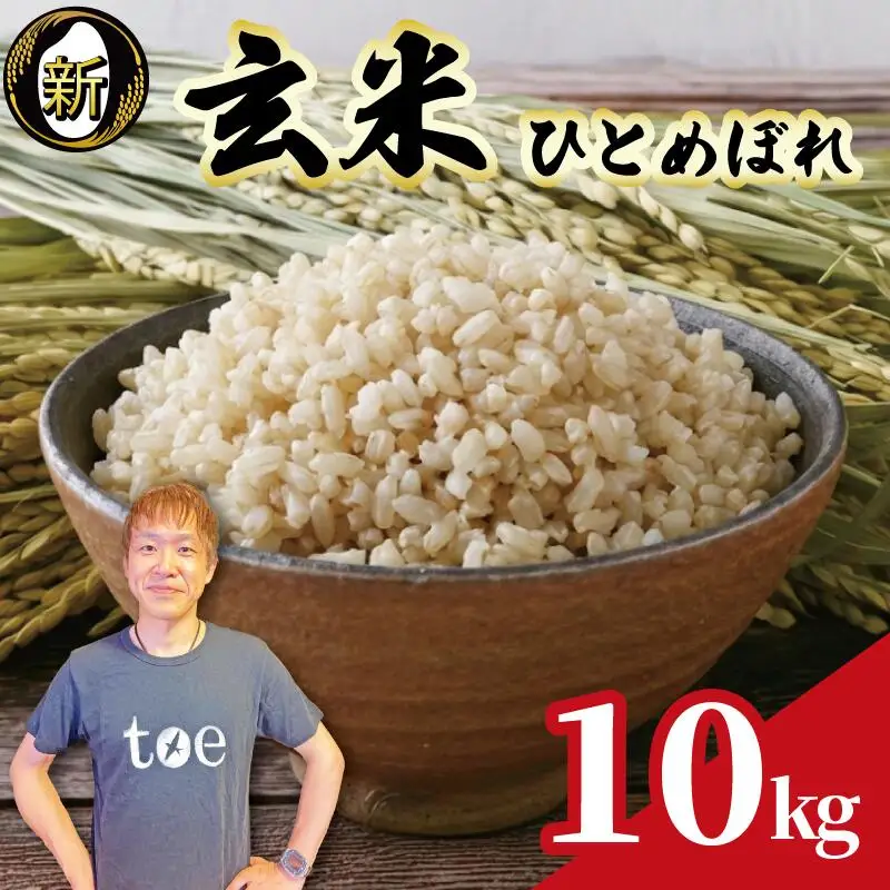 【予約受付】玄米 ひとめぼれ 10kg  国産 edama 牧之原市