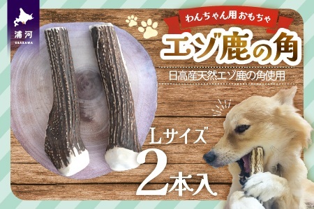 エゾ鹿の角 Lサイズ×2本セット(1本物)[54-1533]